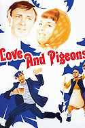 Love and Pigeons